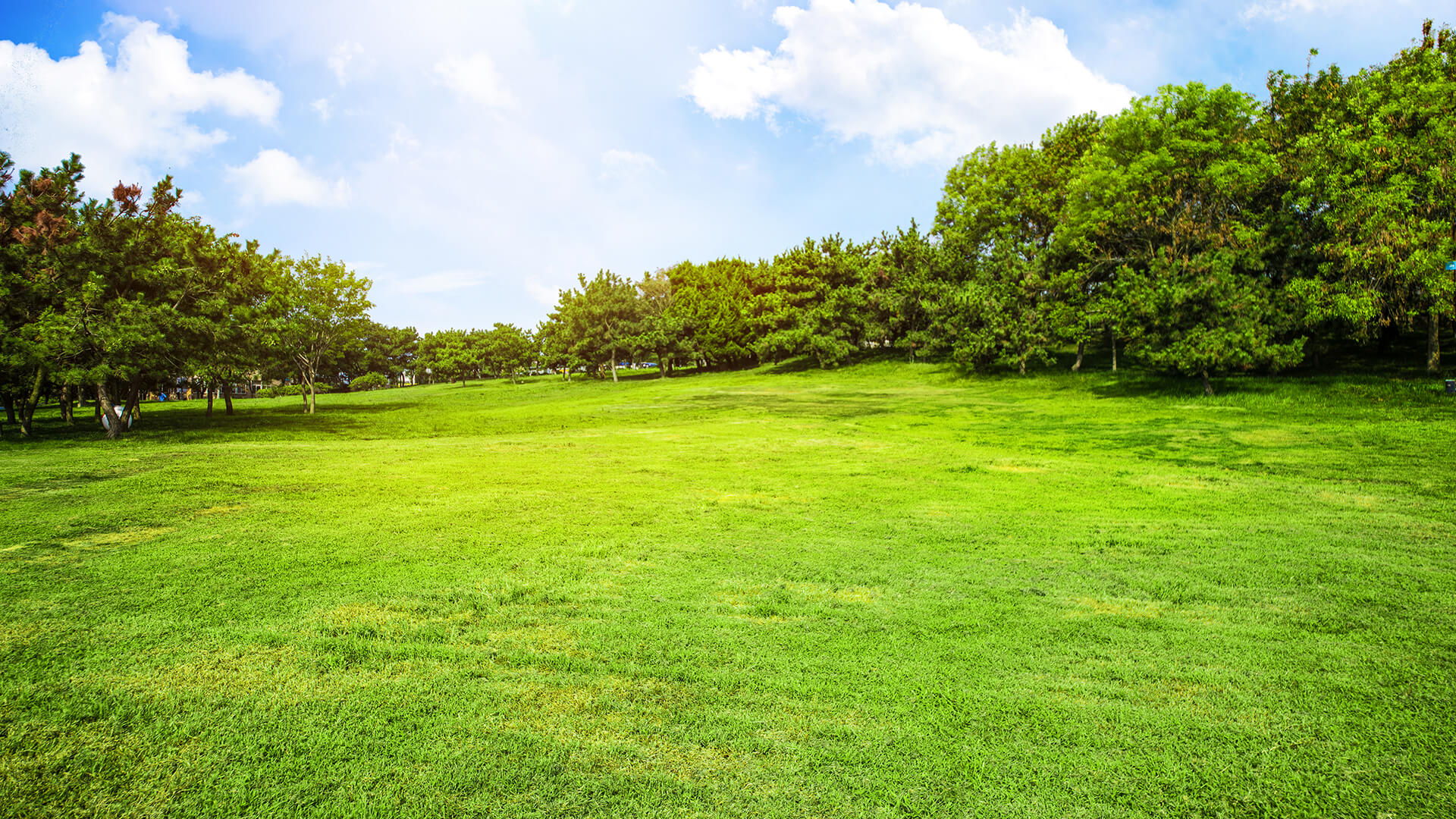field-with-grass-and-clouds